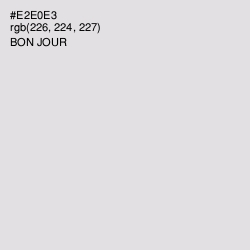 #E2E0E3 - Bon Jour Color Image